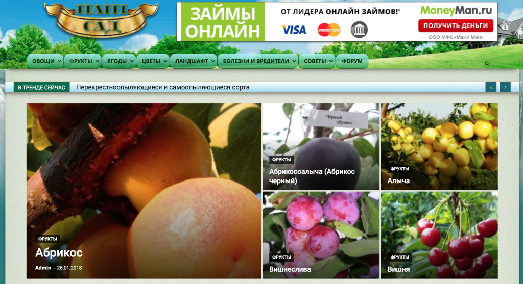 [Школа Monta] Готовые прибыльные сайты   пошаговые_0.png